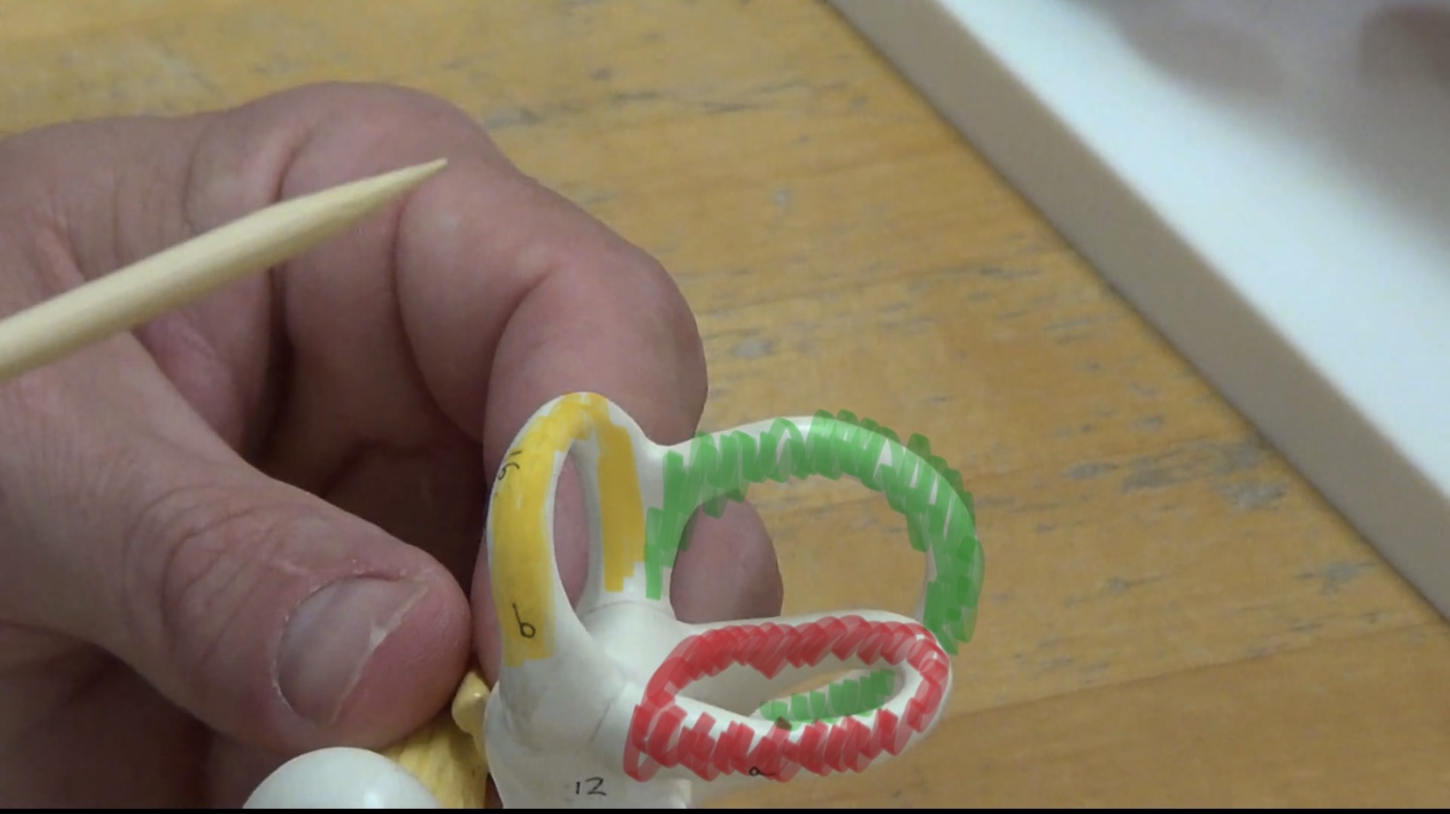 <p>Name in order from yellow, green, red</p>