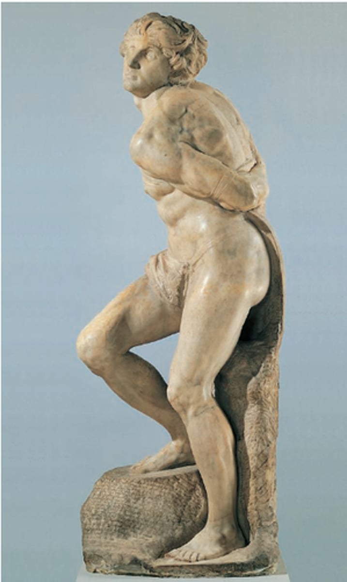 <p>Michelangelo Buonarroti, 1513-1516, high renaissance</p>