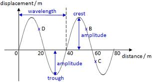 <ul><li><p>Represents the displacement of all particles in the wave at a given moment in time.</p></li><li><p>Can be used to determine the amplitude and wavelength</p></li></ul><p></p>