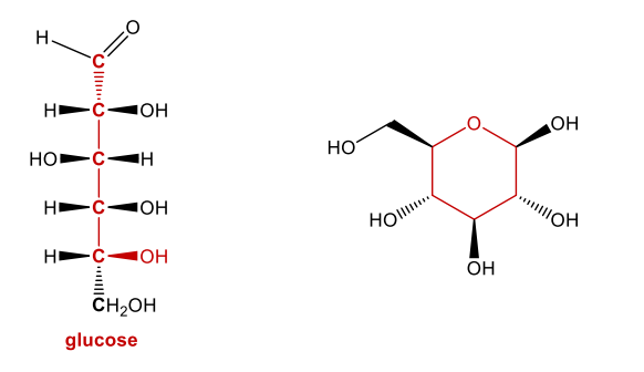 <ul><li><p>Describes a broad class of molecules </p></li><li><p>Type of carbohydrate </p></li><li><p>Simplest is glucose </p></li><li><p>Carbs are metabolized in body to glucose (4 cal per gram)</p></li></ul><p></p>