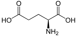 <p>Glu, E<br>polar, negative side chain</p>