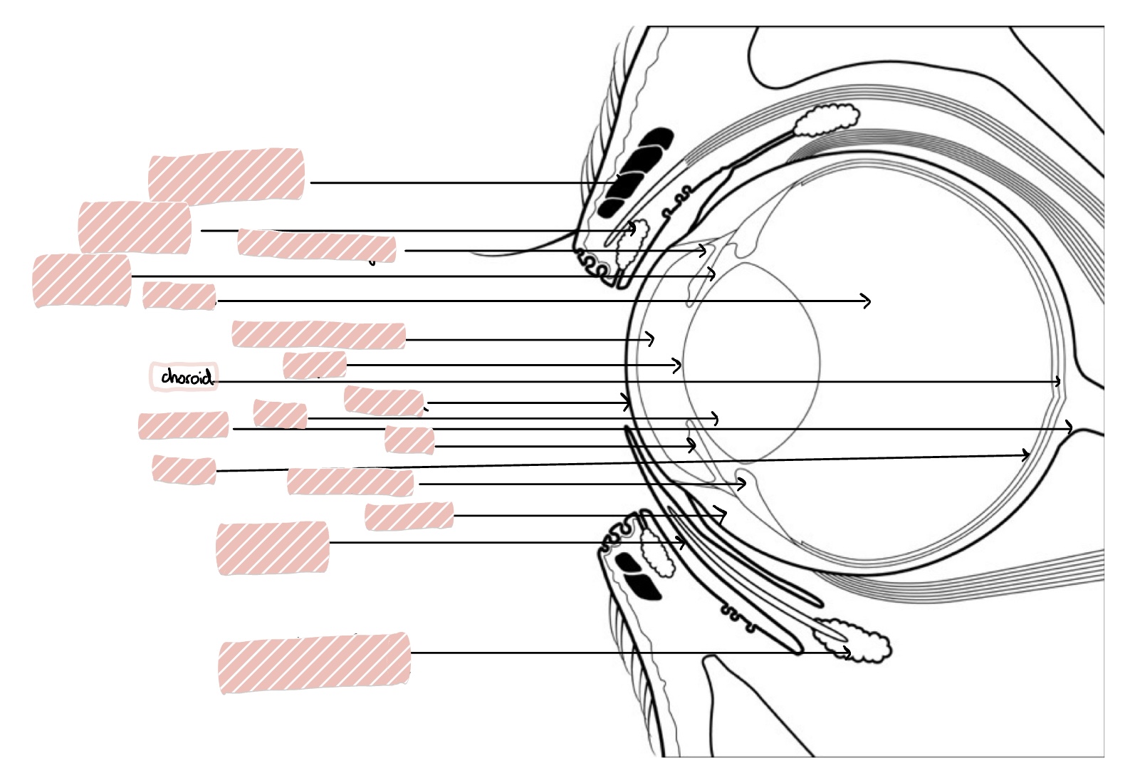knowt flashcard image