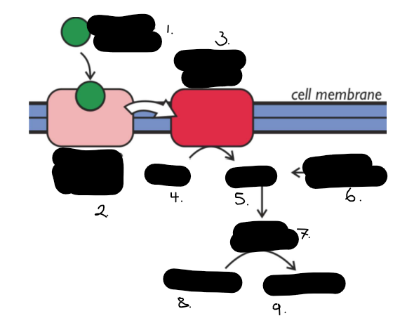 <p>is this insoluble and soluble </p>