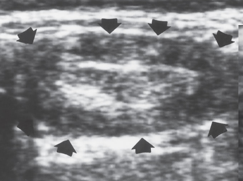 <p>what is shown?</p>