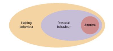 <p>Most broad term</p><ul><li><p><strong>incl</strong>. helping as part of a profession</p></li><li><p><em>ex. nurses, doctors</em></p></li></ul>