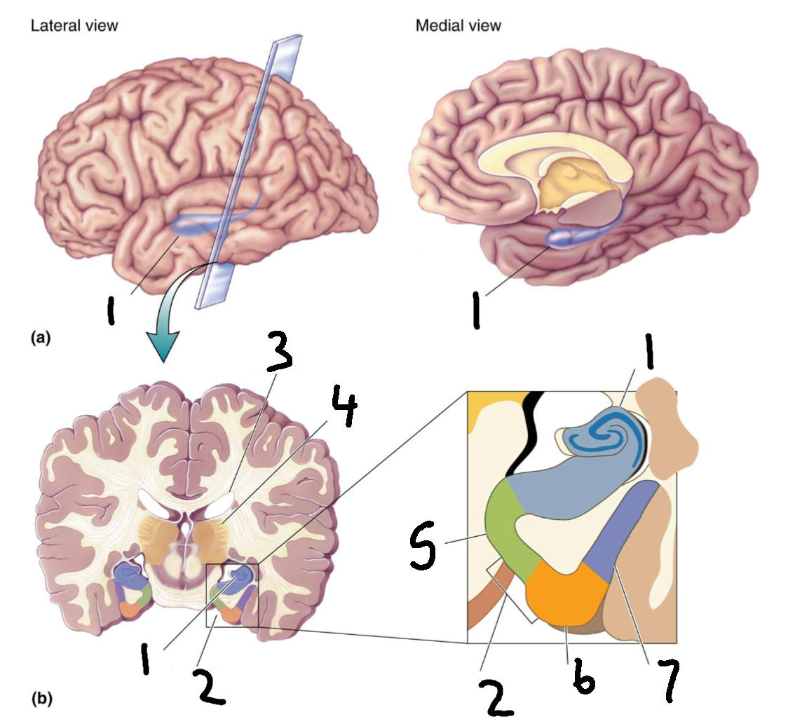 <p>What is 2?</p>