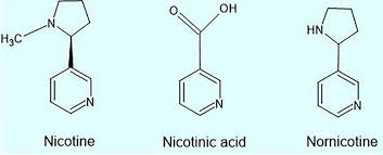 <ul><li><p>replaced pyrrolidine ring in nicotine with COOH </p></li></ul><p></p>