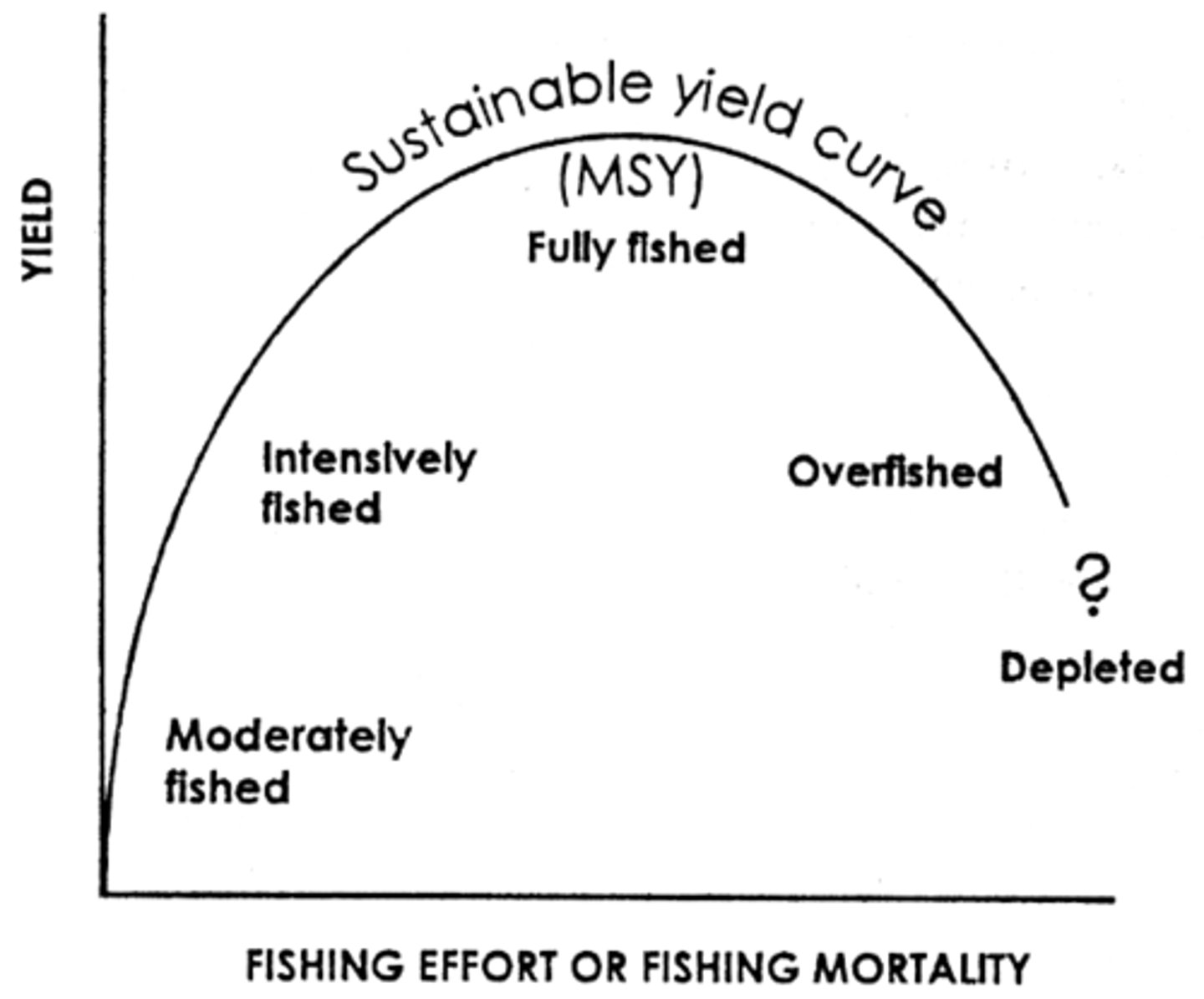 <p>- The exact point where we can catch as much fish as possible without depleting their population below their most productive levels</p><p>- Catching more depletes future populations and catching less sacrifices current food/income </p>