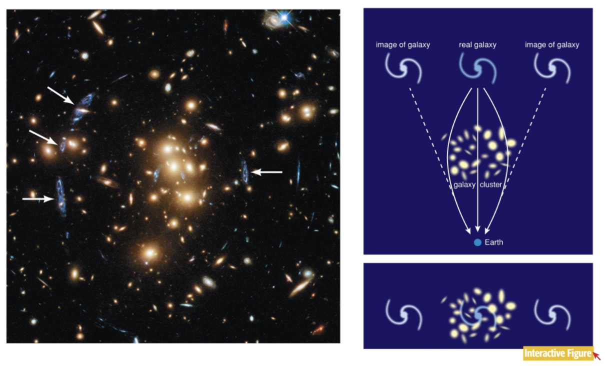<ol><li><p><span style="background-color: transparent;"><span>The bending of light rays by gravity, can also tell us a cluster's mass</span></span></p></li><li><p><span style="background-color: transparent;"><span>Mass warps the space around it, so a galaxy behind a cluster would appear warped around it cuz the light has to travel around the cluster to be visible to us, so it looks like its on the sides of the clusters in a weird einstein circle ring around the cluster, smeared out ring</span></span></p></li><li><p><span style="background-color: transparent;"><span>If the cluster has more mass, the ring is bigger so you can tell the mass depending on how far out the galaxy is appearing from the cluster in its ring</span></span></p></li><li><p><span style="background-color: transparent;"><span>More mass = more distortion in images</span></span></p></li></ol><p><span style="background-color: transparent;"><span>*You can't just add up all the mass of the stars</span></span></p>