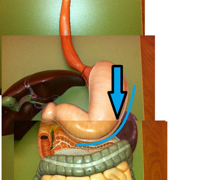 knowt flashcard image