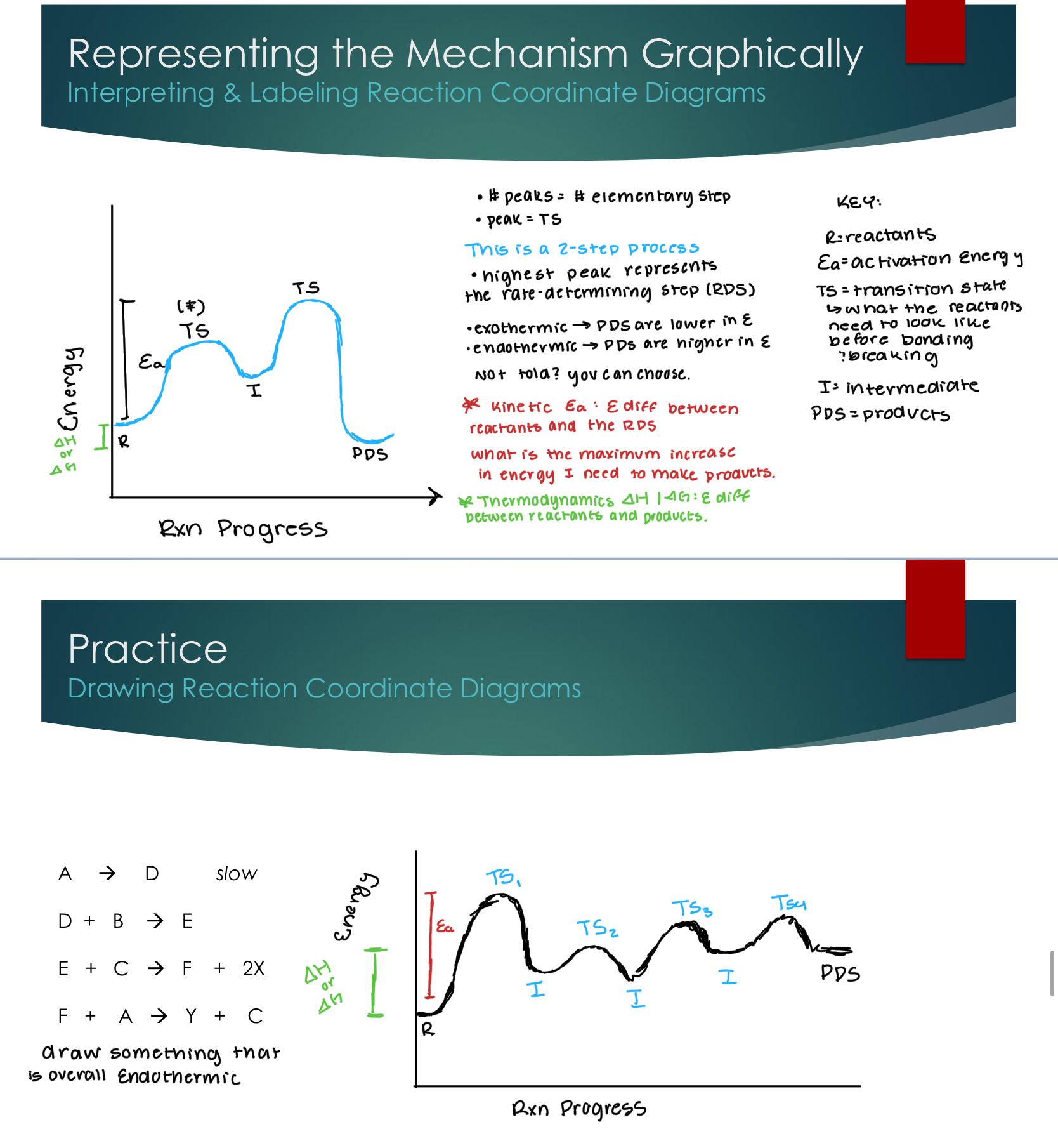 <ul><li><p>The number of peaks is the number of elementary steps</p></li><li><p>The peak is the transition state</p></li><li><p>The highest peak represents the rate-determining step</p></li><li><p>Energy levels can be determined</p><ul><li><p>Exothermic → PDS are lower in energy</p></li><li><p>Endothermic → Products are higher in energy</p></li></ul></li><li><p>Kinetic Activation energy is the energy difference between the reactants and products.</p><ul><li><p>What is the maximum increase in energy I need to make products.</p></li></ul></li><li><p>Thermodynamics ∆H/∆G: energy difference between reactants and products.&nbsp;</p></li></ul><p></p>
