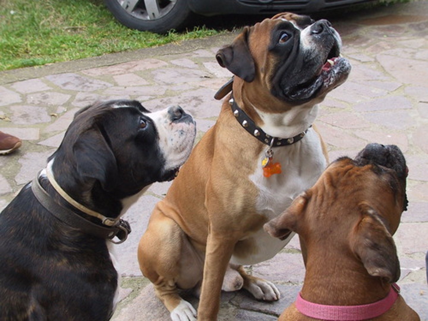 <p>He hung out with his friends.</p>