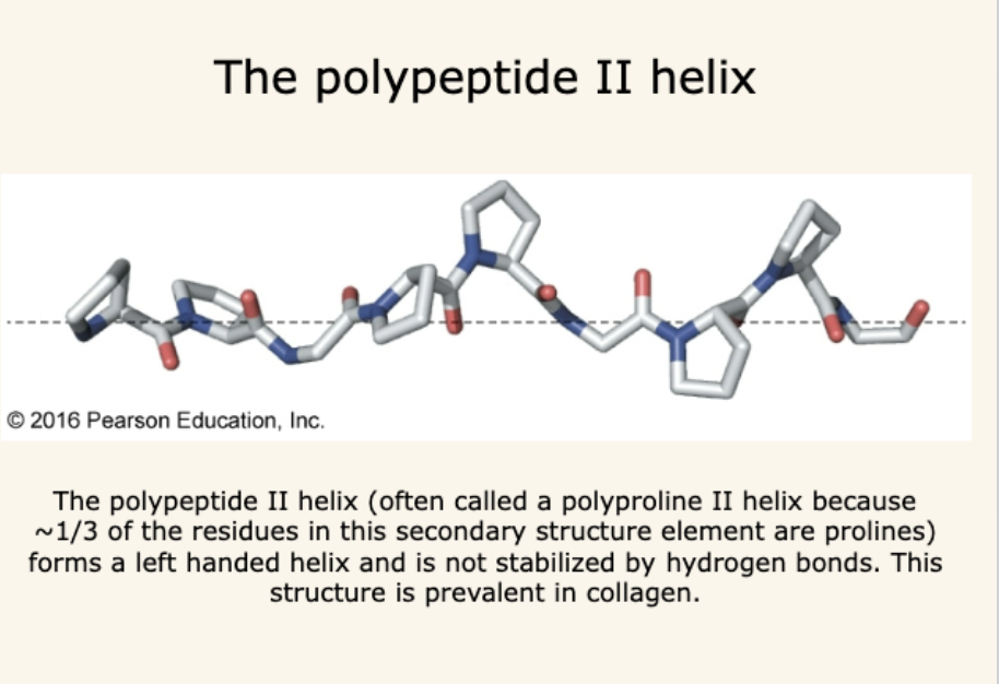 <ul><li><p class="my-2 [&amp;+p]:mt-4 [&amp;_strong:has(+br)]:inline-block [&amp;_strong:has(+br)]:pb-2"><strong>3₁₀ helix</strong>: Tighter than α-helix, H-bonding between i and i+3 residues, less stable.</p></li></ul><ul><li><p class="my-2 [&amp;+p]:mt-4 [&amp;_strong:has(+br)]:inline-block [&amp;_strong:has(+br)]:pb-2"><strong>Polypeptide II helix (polyproline II)</strong>: Left-handed, no backbone H-bonding, frequently has proline and glycine.</p></li></ul><p></p>