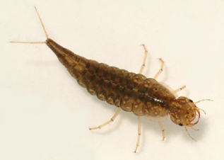 <img src="https://knowt-user-attachments.s3.amazonaws.com/ad2a2349-3772-4c62-ba48-1cb06cbb85c7.jpg" data-width="100%" data-align="center"><img src="https://knowt-user-attachments.s3.amazonaws.com/b75896f2-be8a-4fa0-9106-3633319dd824.jpg" data-width="100%" data-align="center"><img src="https://knowt-user-attachments.s3.amazonaws.com/b7bea11a-d5d8-4e9d-81ad-2ec4b005a448.jpg" data-width="100%" data-align="center"><p></p>