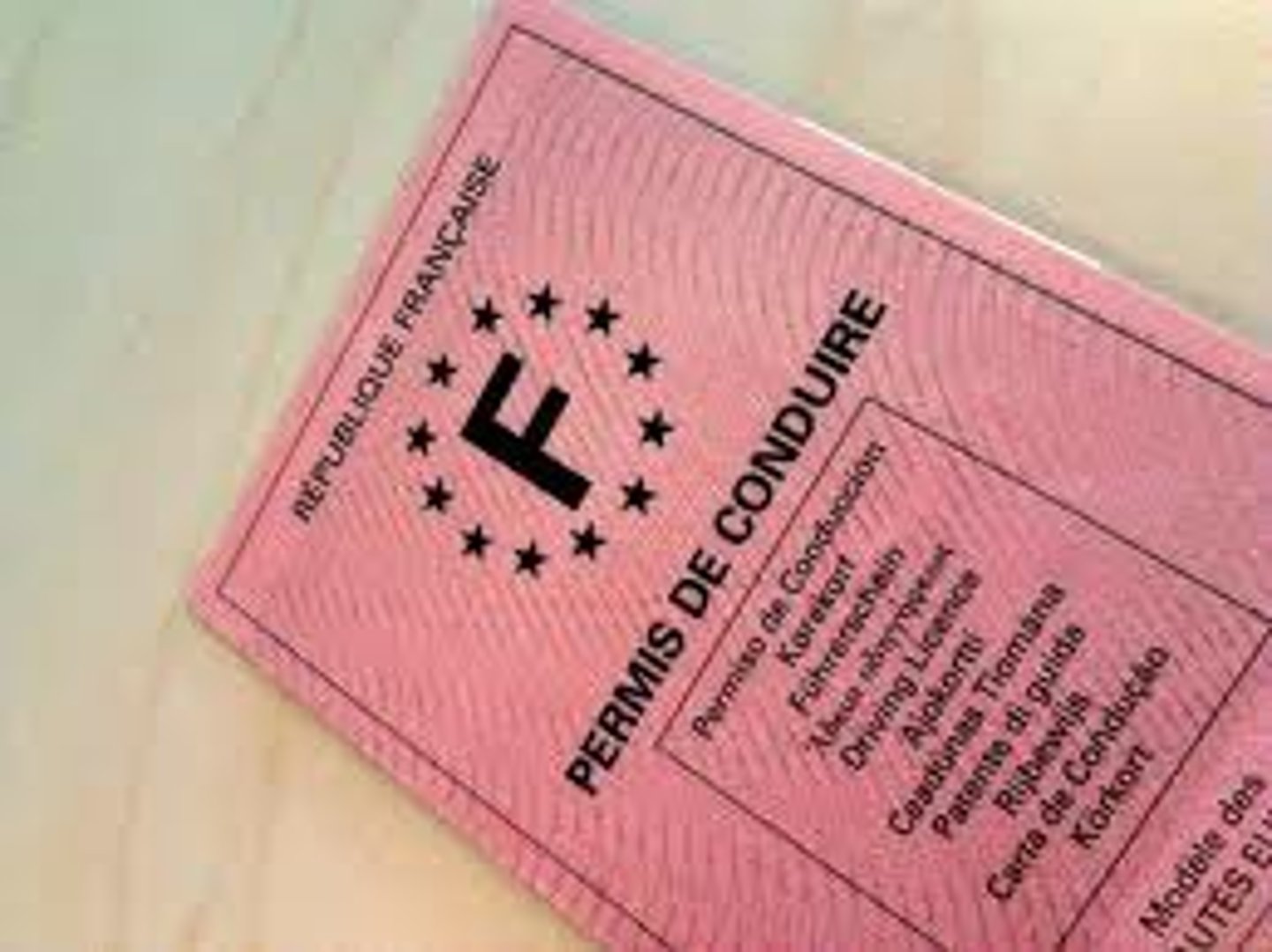 <p>driver's license</p>