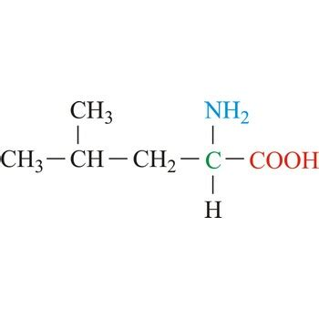 <ul><li><p>Longer branched side chain</p></li><li><p>Very hydrophobic</p></li><li><p><strong>BCAA</strong></p></li><li><p>α-helix stabilizer</p></li></ul><p></p>