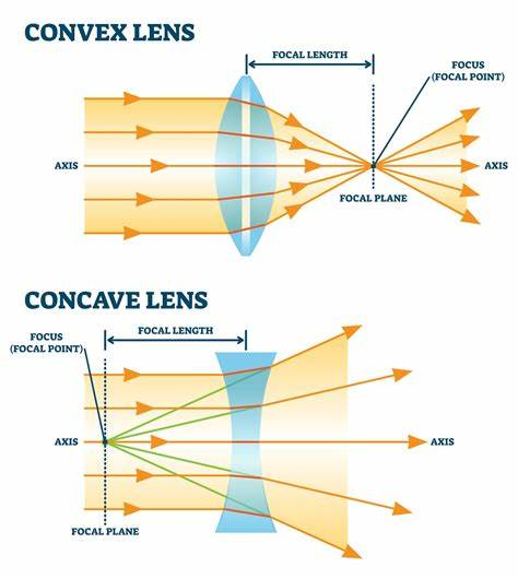 <p>c. Concave</p>