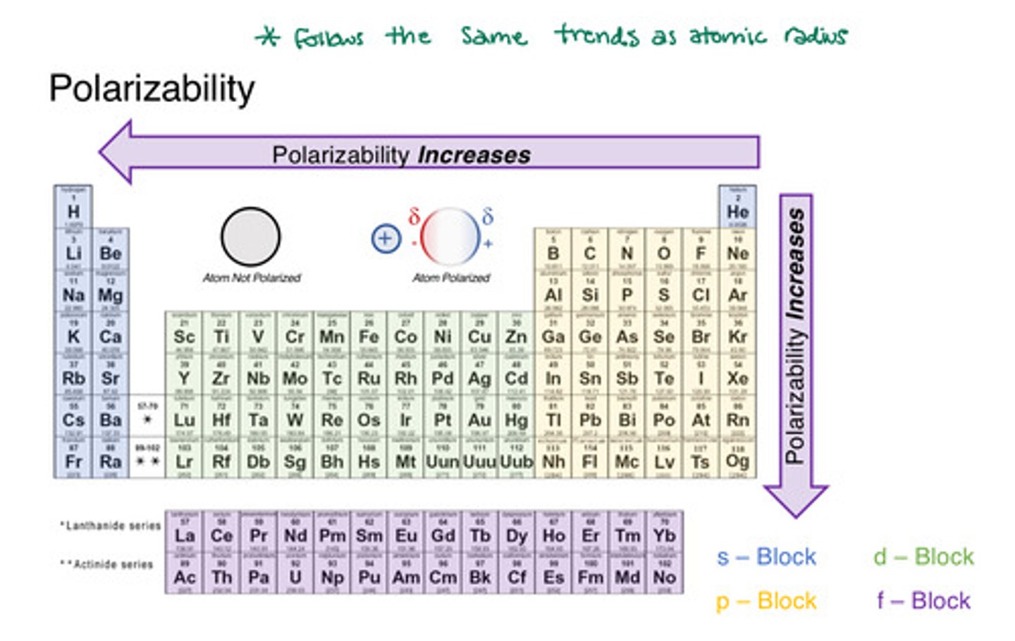 <p>the ease with which the electron distribution in the atom or molecule can be distorted</p>