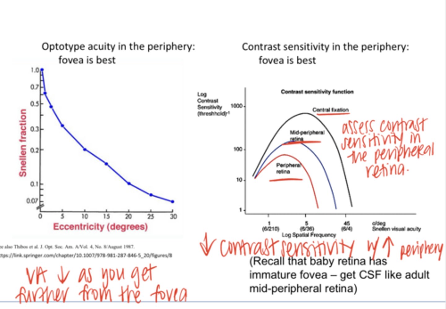 <p>VA will (increase/decrease) as you get further from the fovea</p>