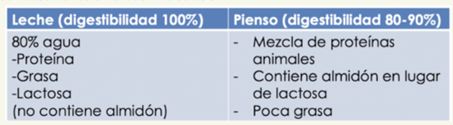 <p>porque tienen ↓ digestión, y hay muchos sustratos no digeridos disponibles para el crecimiento bacteriano.</p><p>algunas bacterias oportunistas aprovechan alteraciones de la microbiota y crecen y liberan toxinas que producen desórdenes entéricos (disbiosis)</p>