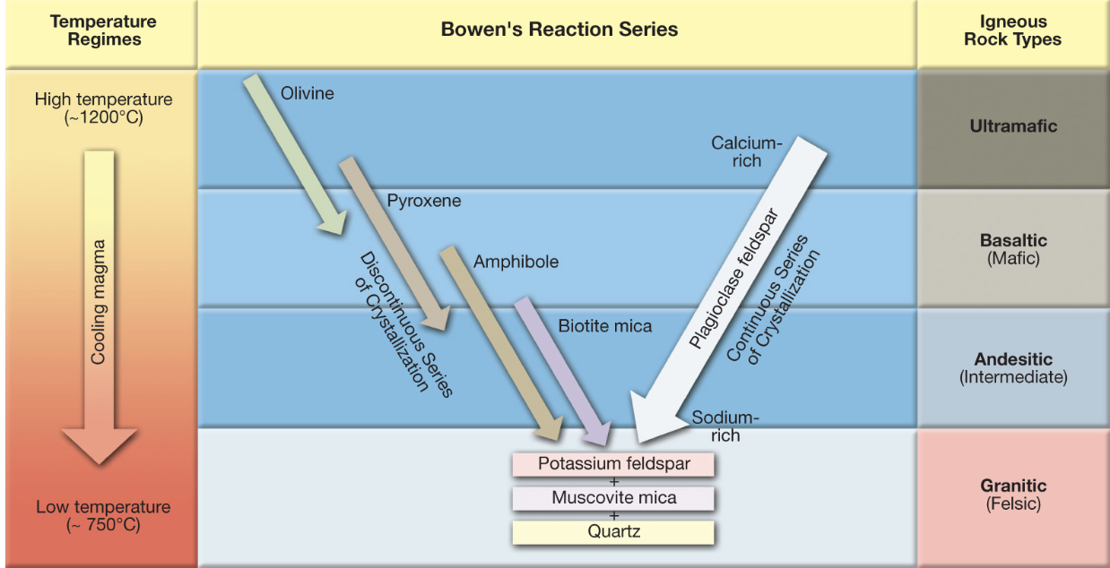 <ul><li><p>From top to bottom of Bowen’s Reaction Series:&nbsp;</p><ul><li><p>Decreasing temperature</p></li><li><p>Dark to light-colored minerals&nbsp;</p></li><li><p>Decreasing density&nbsp;</p></li><li><p>Increasing viscosity (increasing resistance to flow) (volcanic flow slows, it gets stuck; large amounts of silica cause this viscosity)</p></li></ul></li><li><p>Start w/ Basaltic- the minerals in that section are what make salt (sometimes olivine can be included)</p><p>Andesitic- the rock type that these minerals form (biotite mica…)&nbsp;</p><p>Granitic- potassium feldspar, muscovite mica, quartz</p></li></ul>
