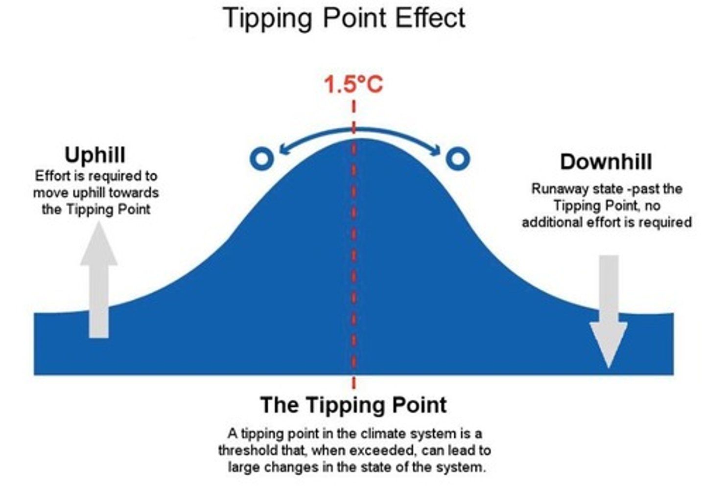 <p>Thresholds beyond which certain changes become irreversible, such as the potential dieback of the Amazon rainforest.</p>