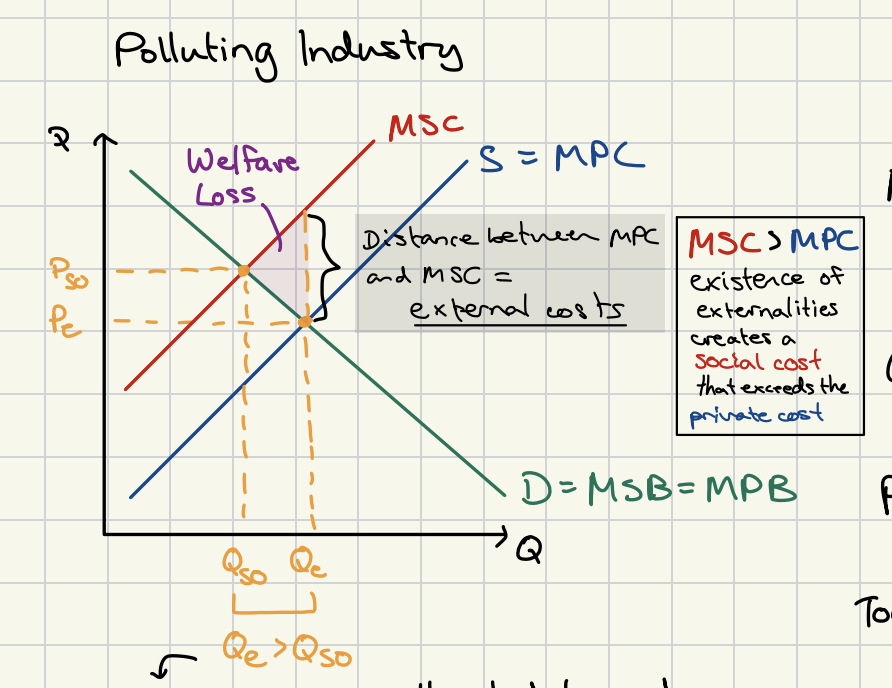 <p>polluting firm, </p>