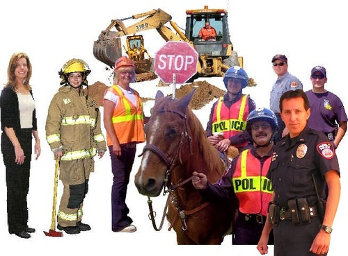 <p>government employee</p>