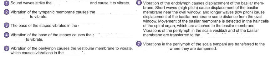 <p></p><p>1 = ?</p>