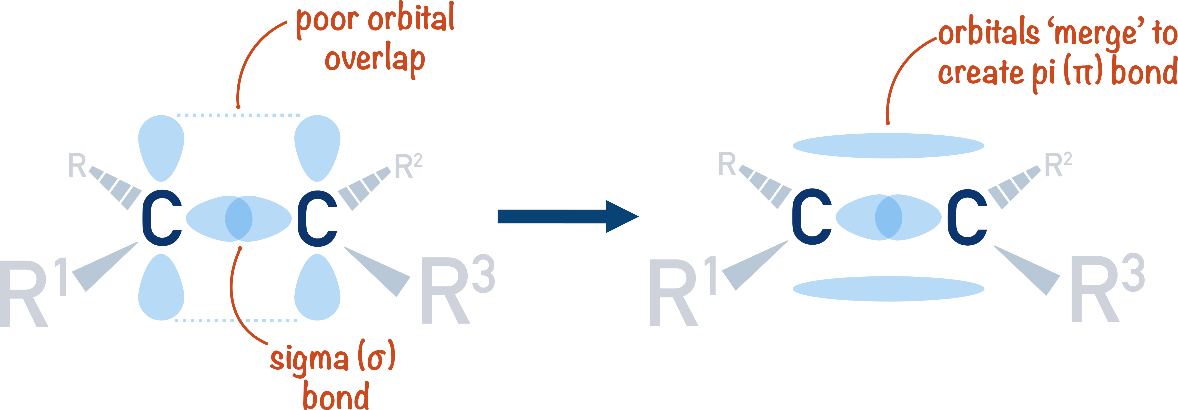 <p>-one of the shared pairs lies in a molecular orbital on the line between 2 nuclei (sigma bond), formed by overlap of 2 s-orbitals</p><p>-the other pair is found above and below plane of molecule, it’s a pi-bond, formed by the sideways overlap of 2 p-orbitals</p>