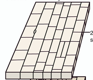 <p>form in a rock with previous fractures</p>