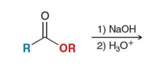 <p>Mechanism</p>