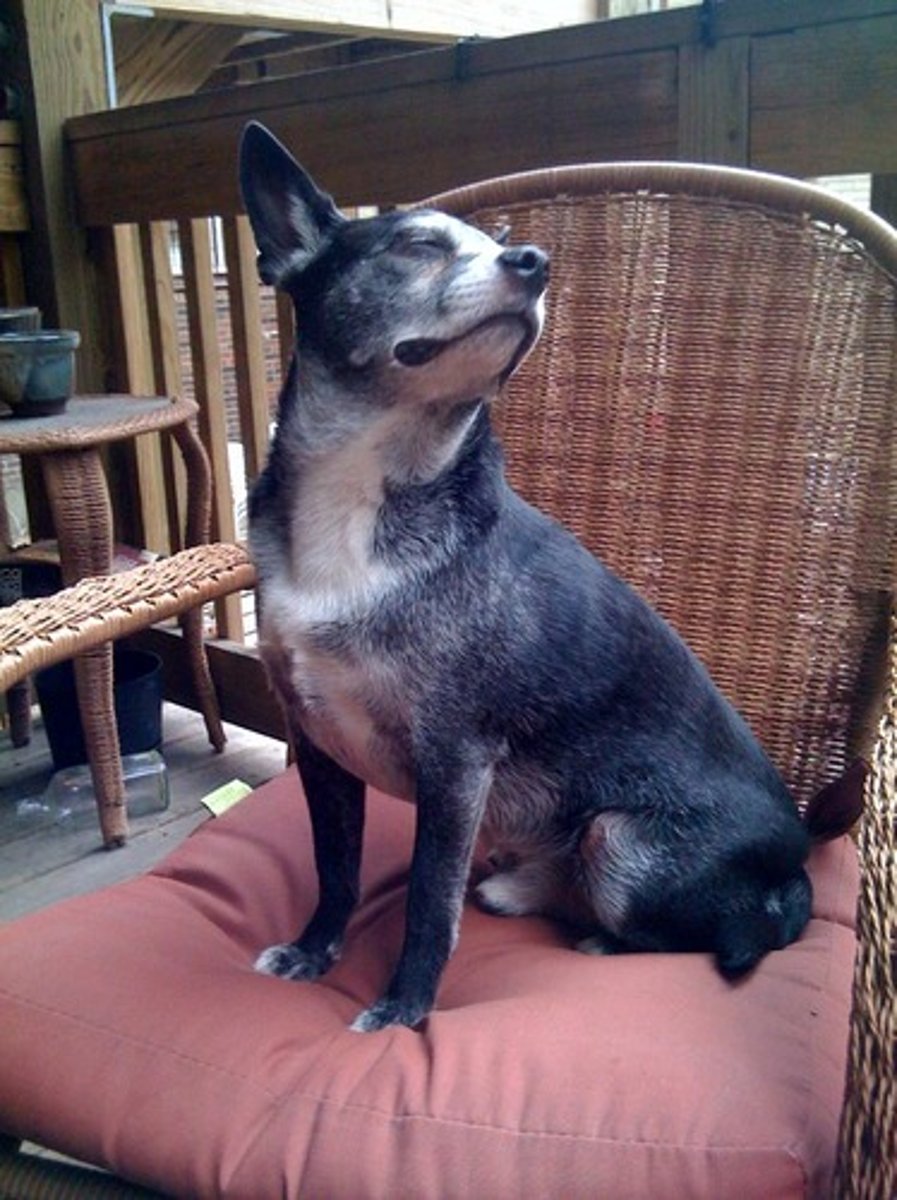 <p>Birine soğuk davranmak</p>