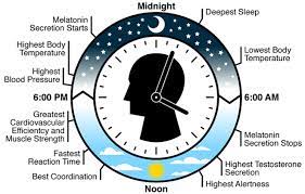 <p>Trigger by internal clock.</p>