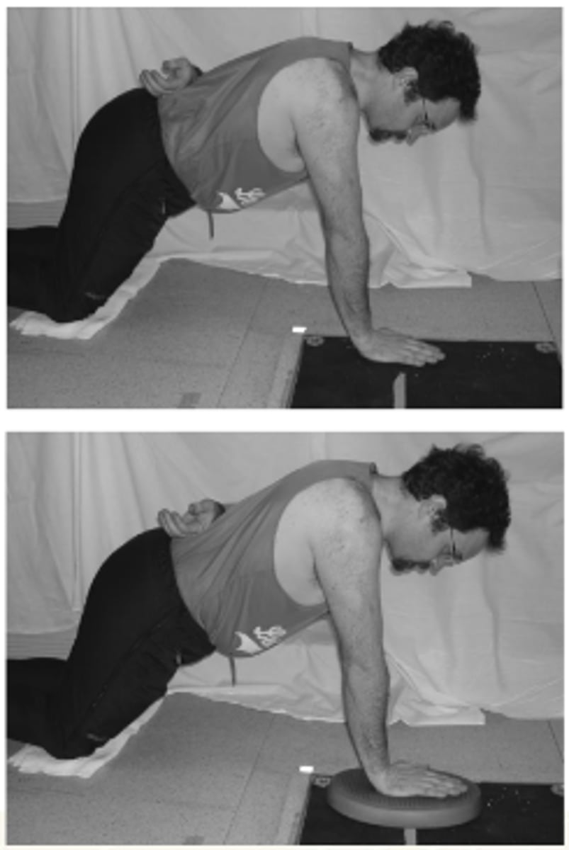 <p>An increase in compliant surface does not appear to significantly ______________________ muscle activity of the scapular stabilizers.</p>