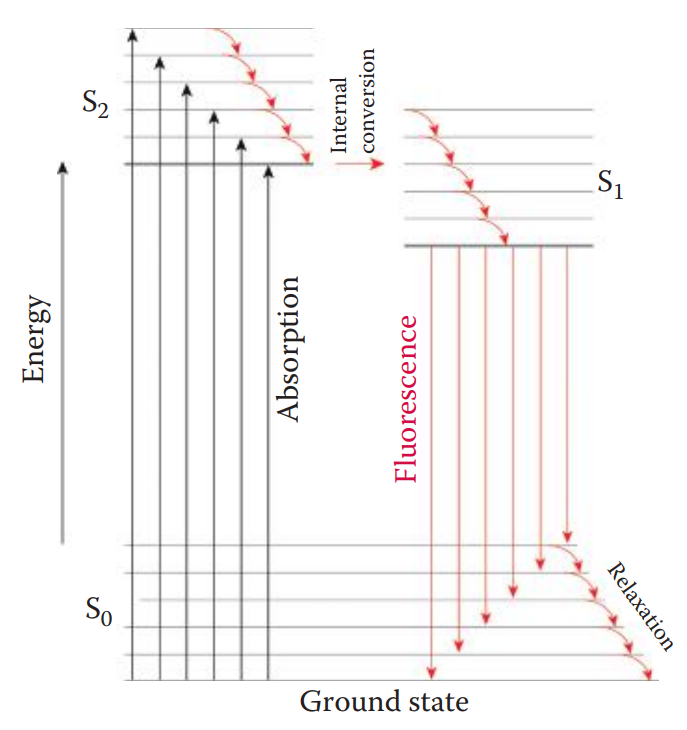 A Jablonski diagram illustrating the absorption of a single photon and subsequent emission of fluorescence.