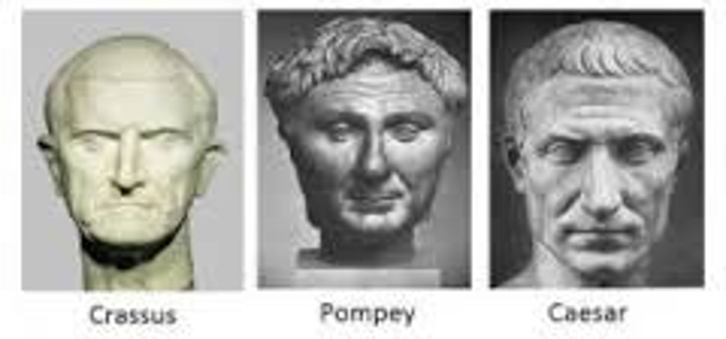 <p>Had an alliance with Julius Caesar and together ruled Rome as a Triumvirate.</p>