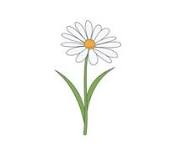<p>I wanted </p><p>I wanted a daisy</p>