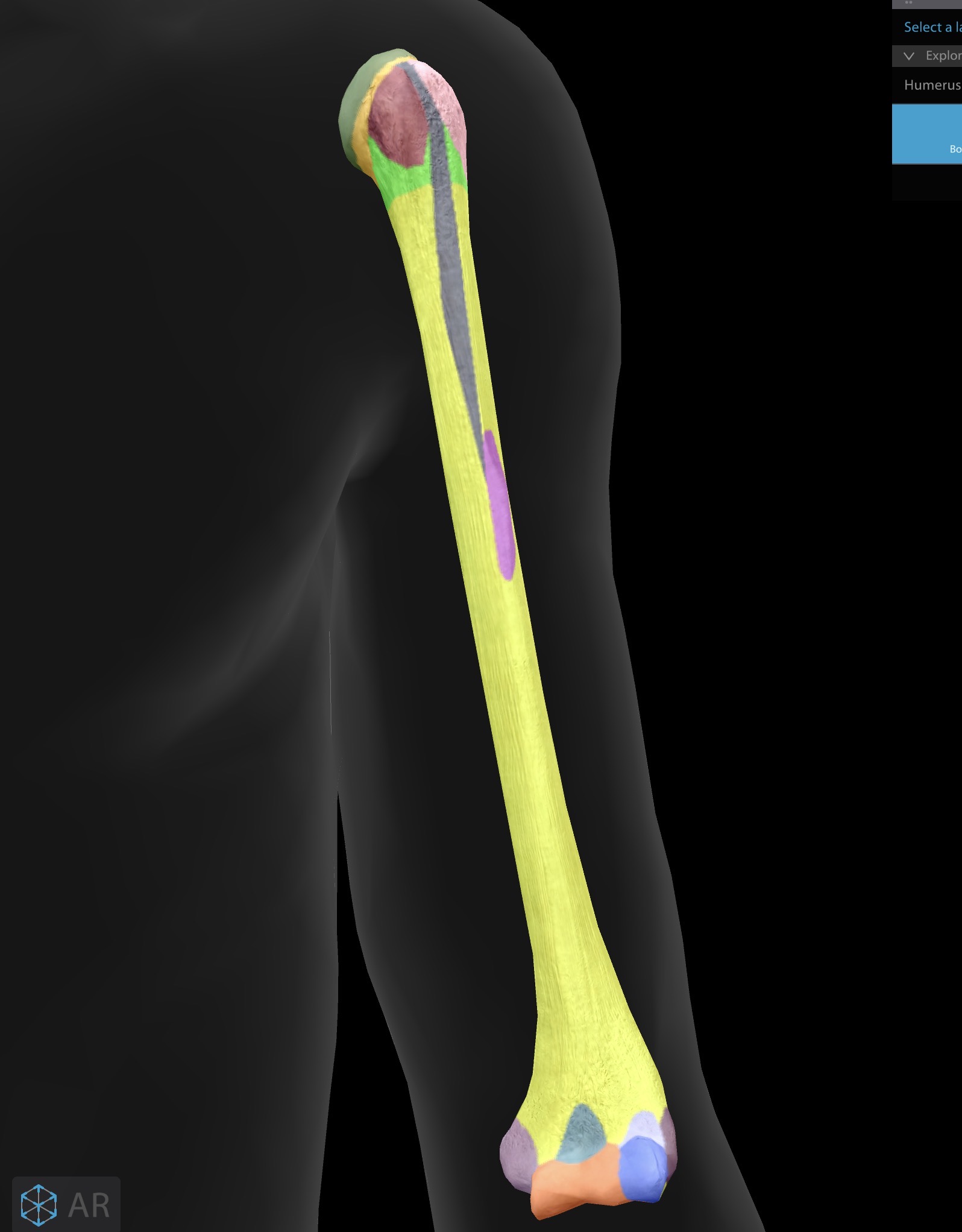 term image