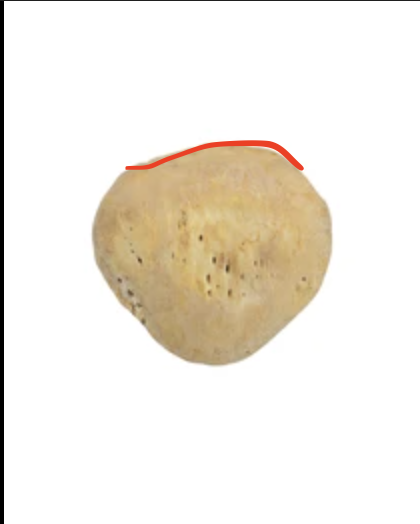 <p>the top flat part</p>