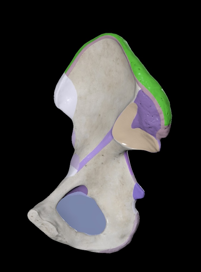 term image