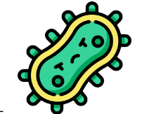 <p><span style="background-color: transparent;"><span>Bacteria have negative charges so basic, so dyes adhere to them&nbsp;</span></span></p>