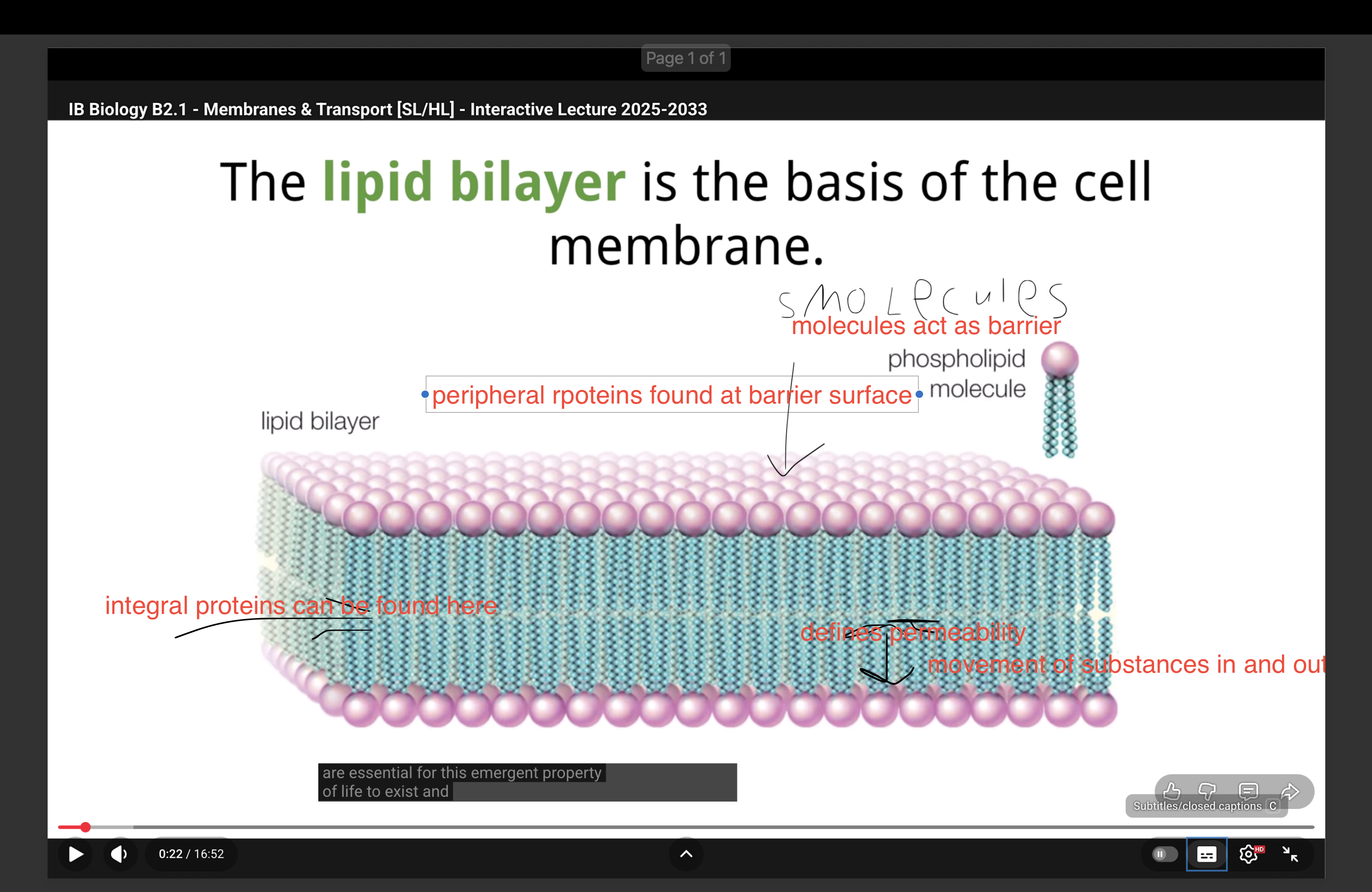 <p>describe characteristic of polar molecules in phospholipids</p>