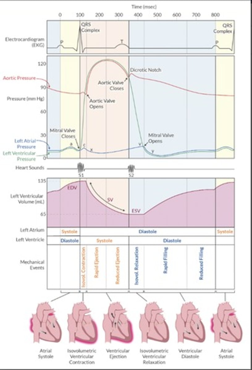 <p>Know the picture. Waveforms.</p>