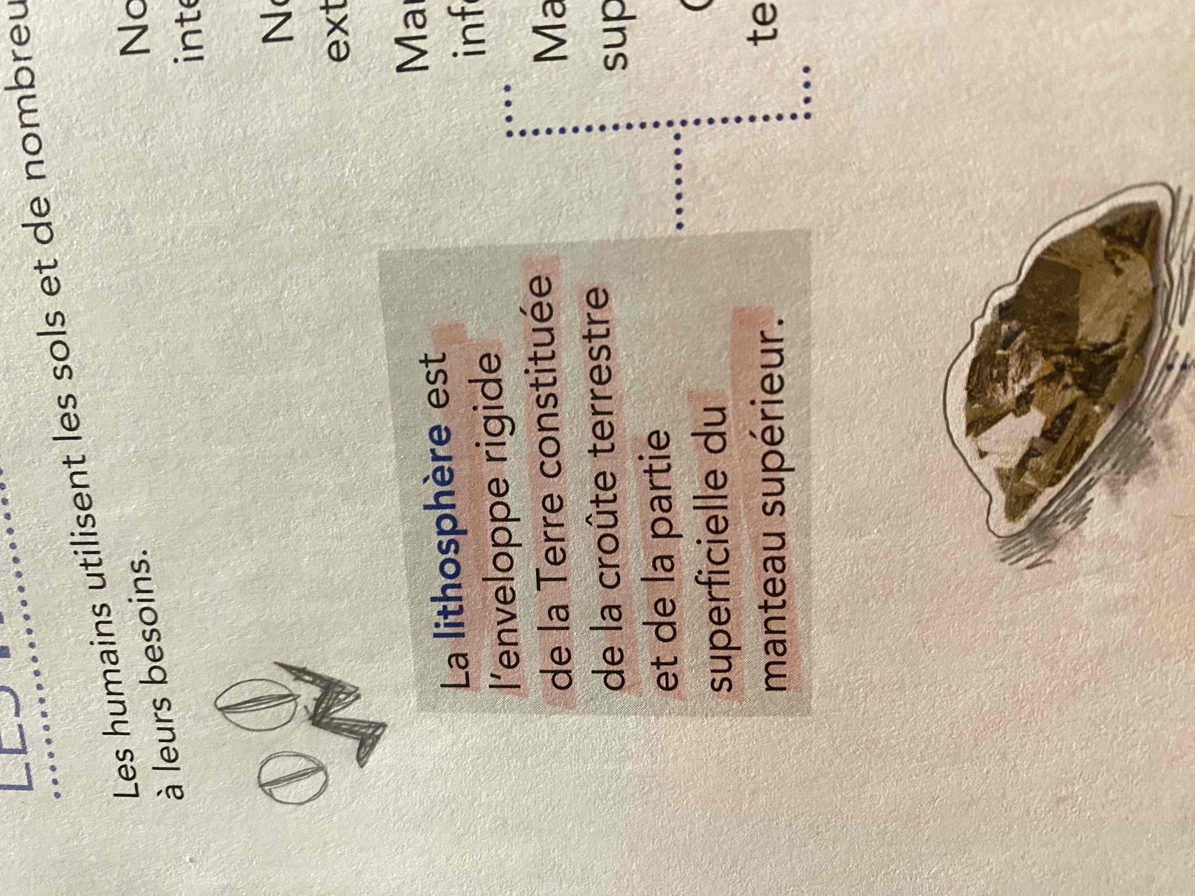 knowt flashcard image