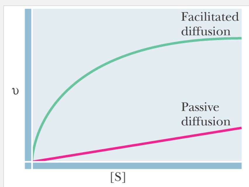 <p>For passive diffusion, the rate is proportional to concentration of diffusing species</p><p>For facilitated diffusion, the rate of transport is saturable</p>