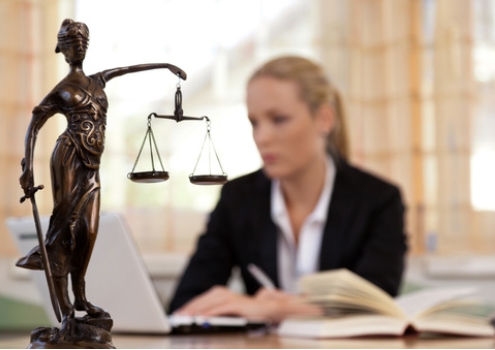<p>A <strong>lawyer</strong> is someone who knows a lot about laws.</p><p><span>|ˈlɔːjə|</span></p><p>Адвокат, юрист</p>
