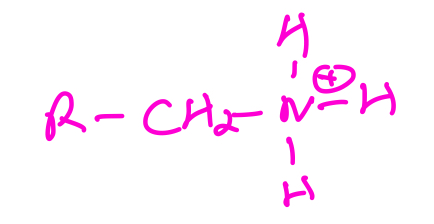 <p>Protonated Amines</p>
