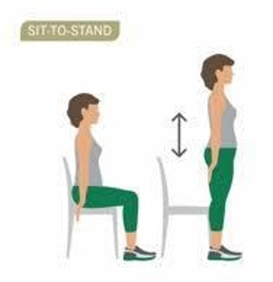 <p>It is essential for ambulation and standing transfers.</p>