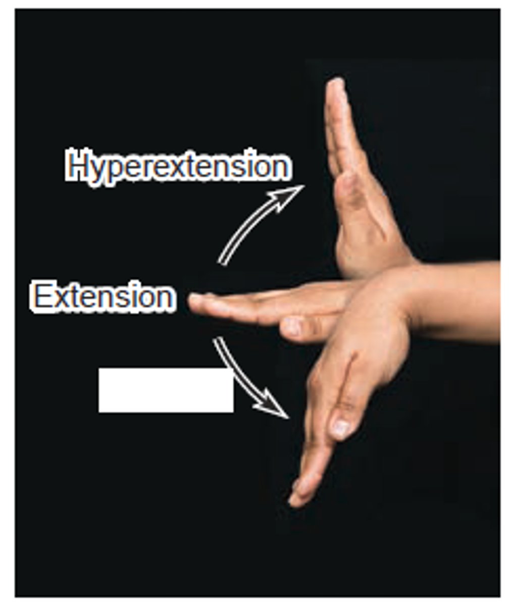 knowt flashcard image
